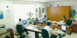 Concorsi in Università, assunzione di personale d’ufficio a Tempo Indeterminato